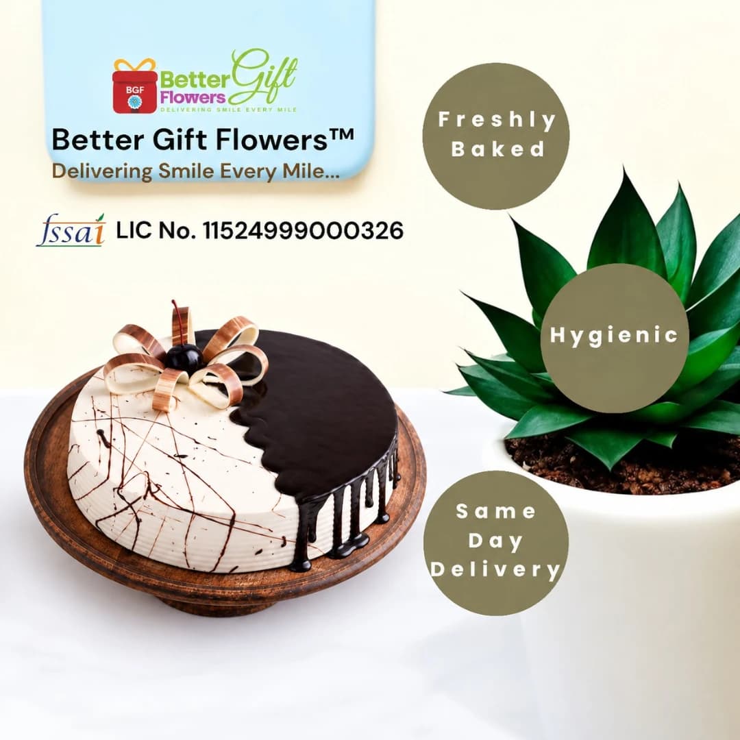 Half chocolate half vanilla cake with freshly baked and same day delivery highlights