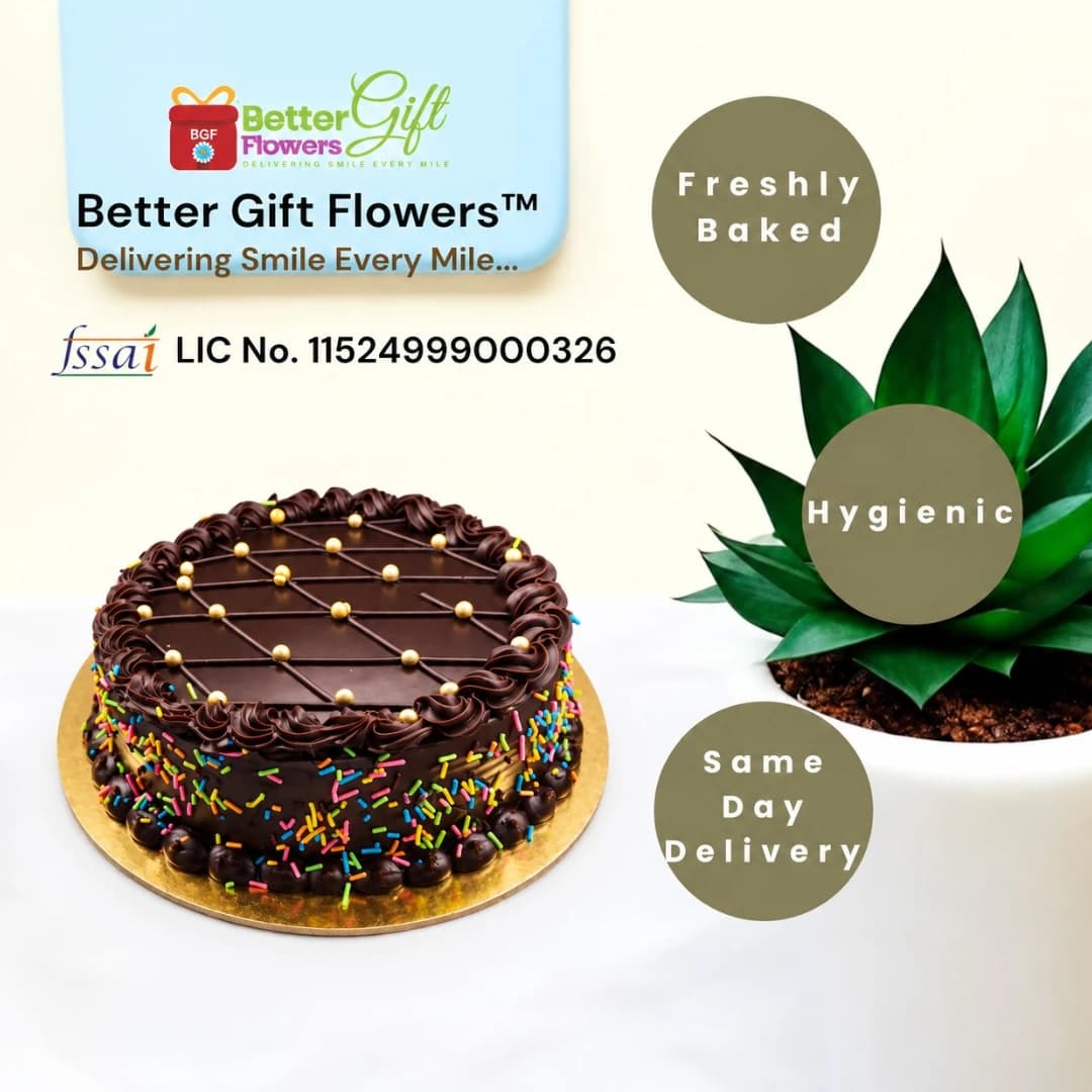 Sprinkle chocolate cake with freshly baked and same day delivery highlights