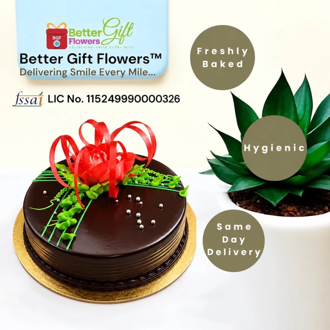 Chocolate rose cake with freshly baked and same day delivery highlights