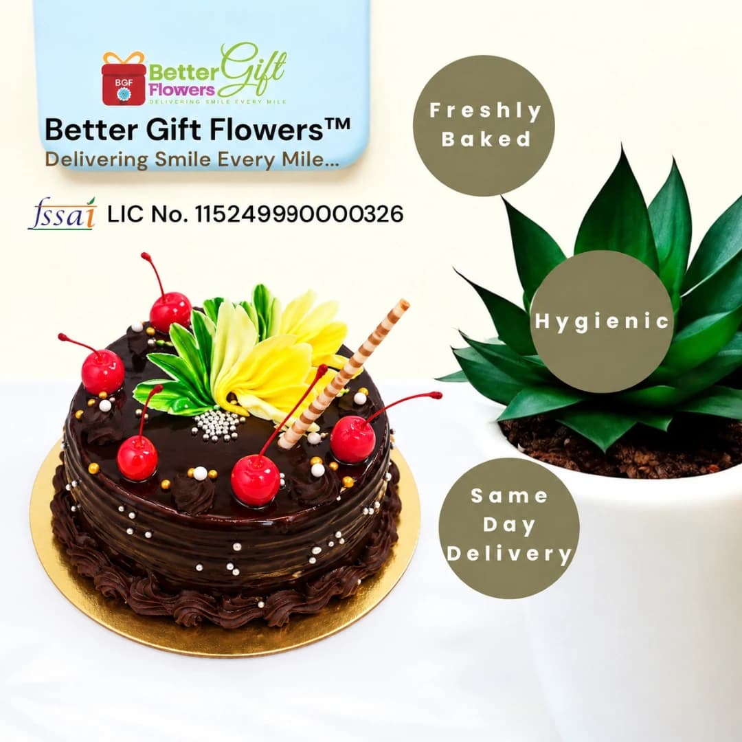 Chocolate truffle cake with same day delivery and freshly baked highlights