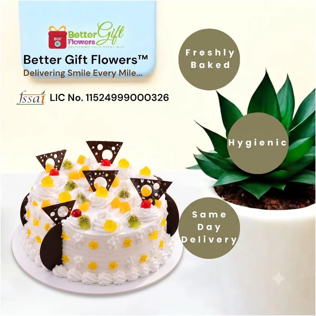 Mixed fruit cake with fresh fruit toppings and same day delivery