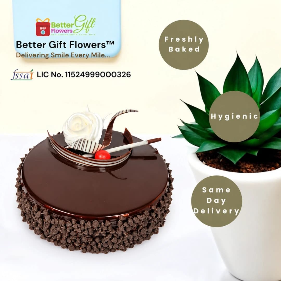 Choco Chip Cake with chocolate topping and chocolate chips for same day delivery