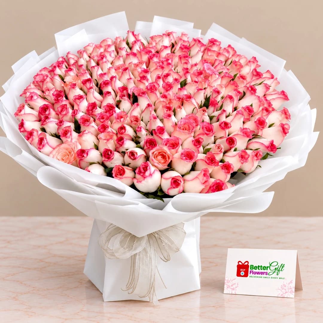 Luxury bouquet of 200 pink roses with white wrapping and a champagne-gold decorative ribbon.