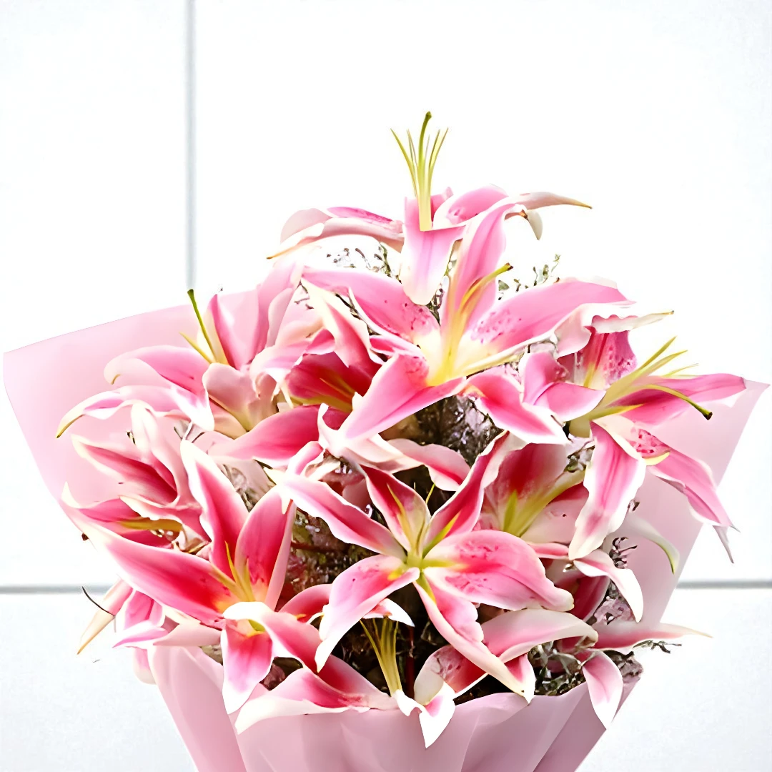 Fresh pink lilies close-up with white edges available for same day flower delivery in Mumbai