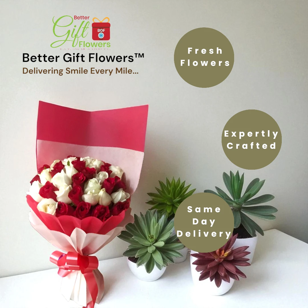 fresh red and white rose flower bouquet delivery in bangalore bettergiftflowers