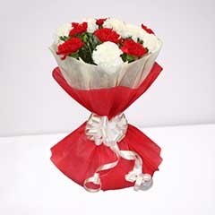 carnation flowers online delivery