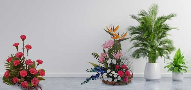order flowers arrangement online