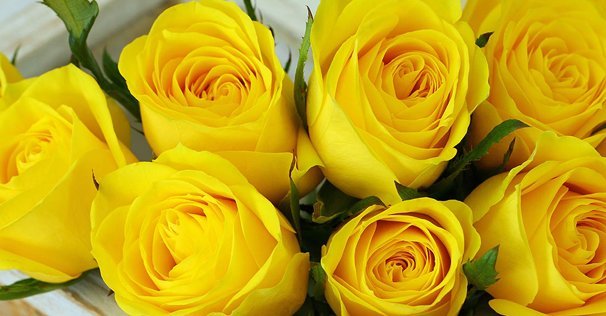 send yellow roses online