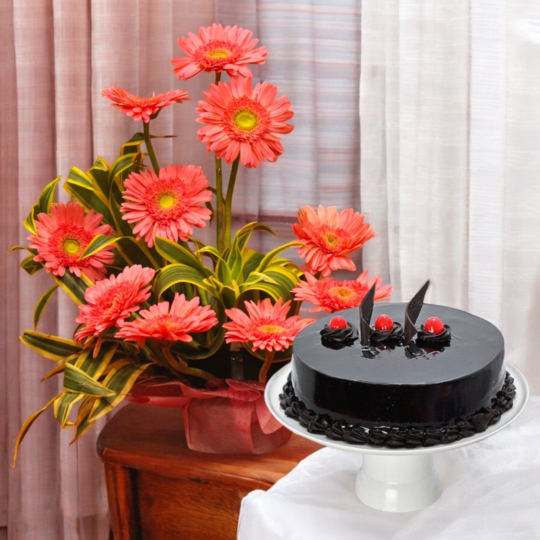 Bright Bouquet of Gerbera with Cake by BetterGiftFlowers