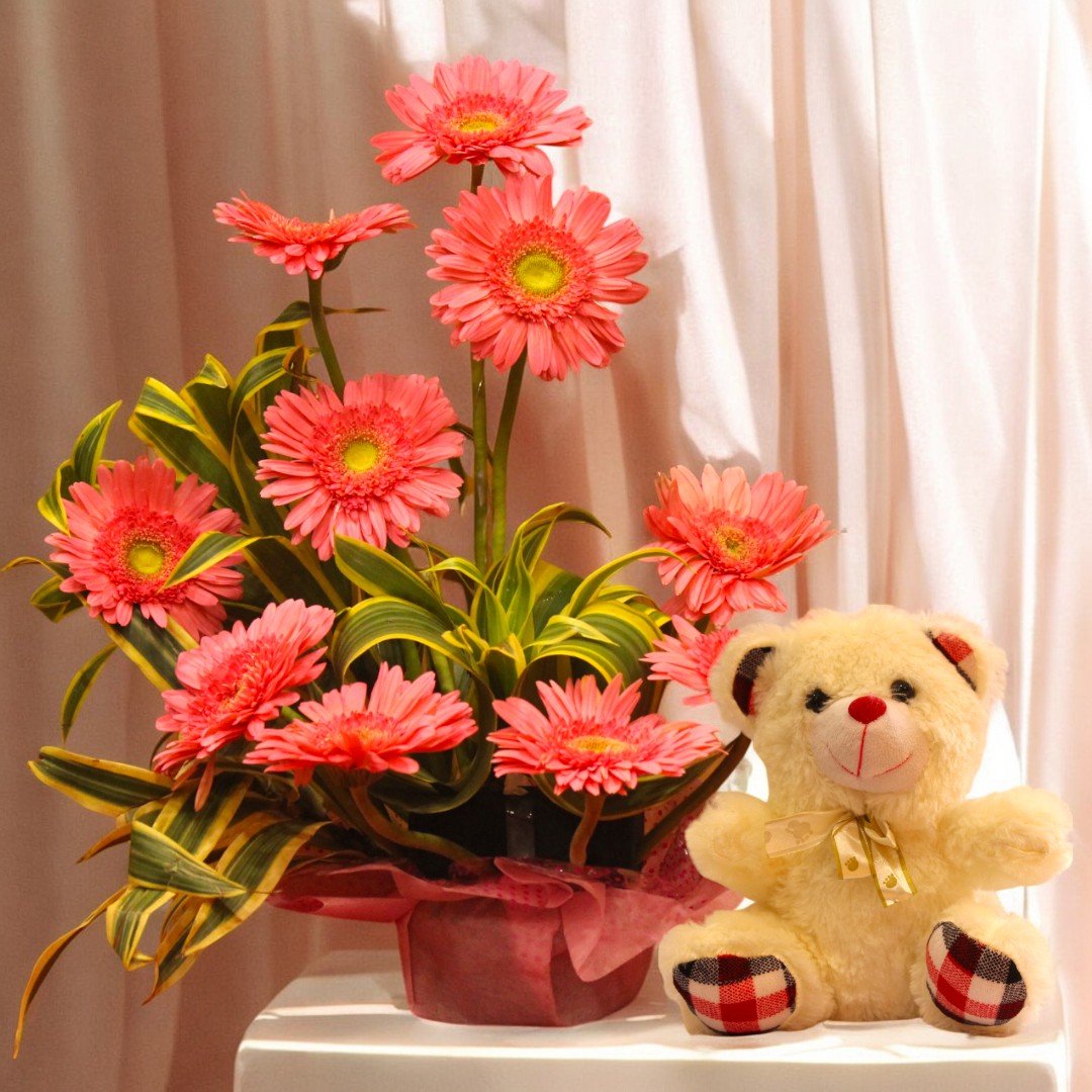 Beautiful bouquet of pink gerberas with a cute teddy bear - BetterGiftFlowers.