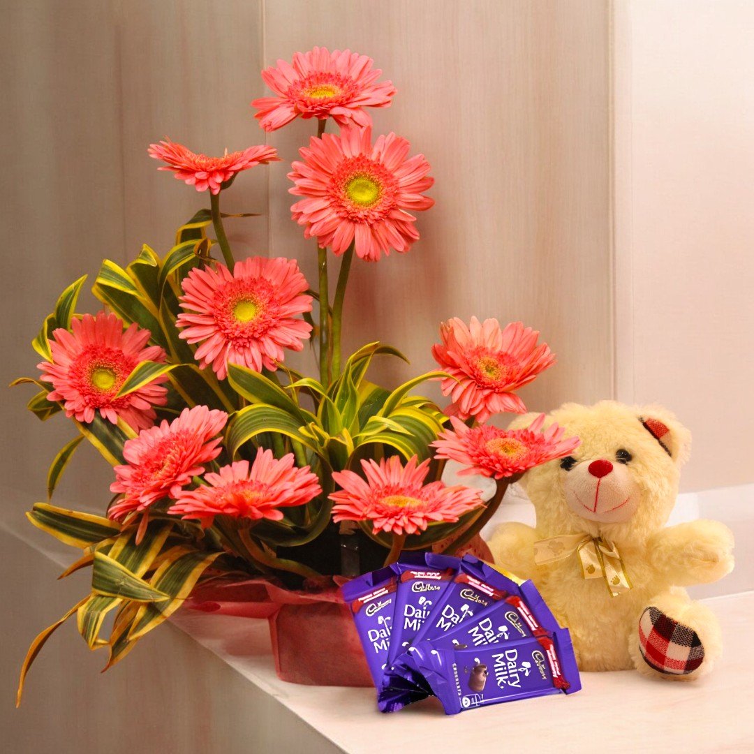 A beautiful arrangement of fresh pink Gerberas with Dairy Milk chocolates and a cute teddy bear from BetterGiftFlowers.