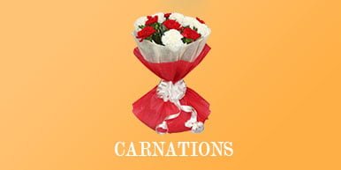 carnations bouquet online delivery
