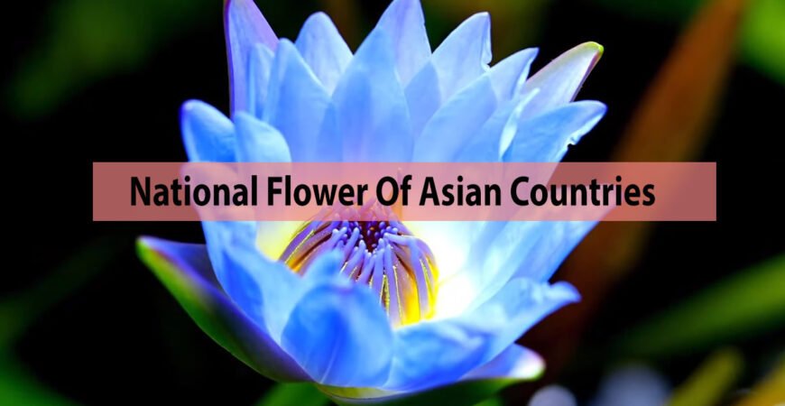 national flower of asian countries