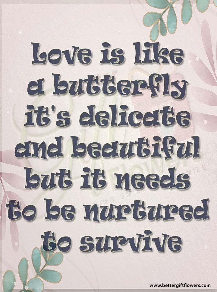 Love Quote - Love is like a butterfly, it's delicate and beautiful, but it needs to be nurtured to survive