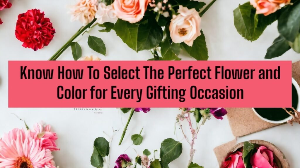 Know How To Select The Perfect Flower and Color for Every Gifting Occasion